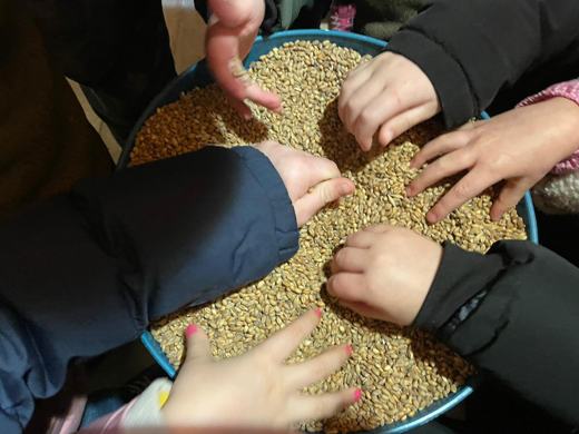Le mani dei bambini nel grano