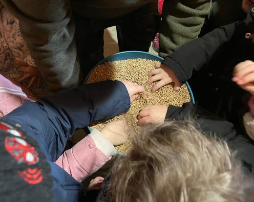 Esperienza con il grano